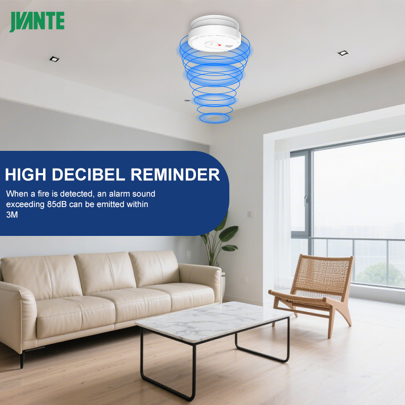 5-Year-Old Independent Light-Sensing Fire And Smoke Alarm For The Kitchen